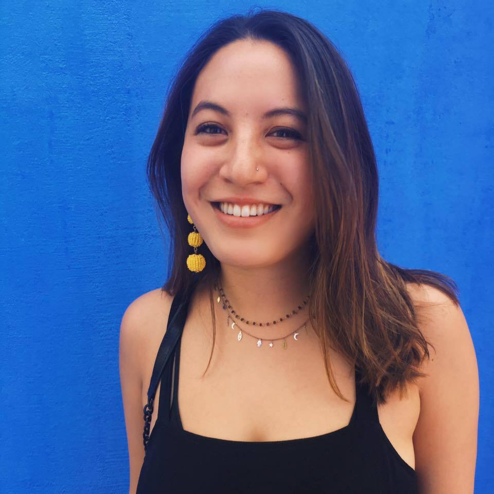 a Swing Left volunteer